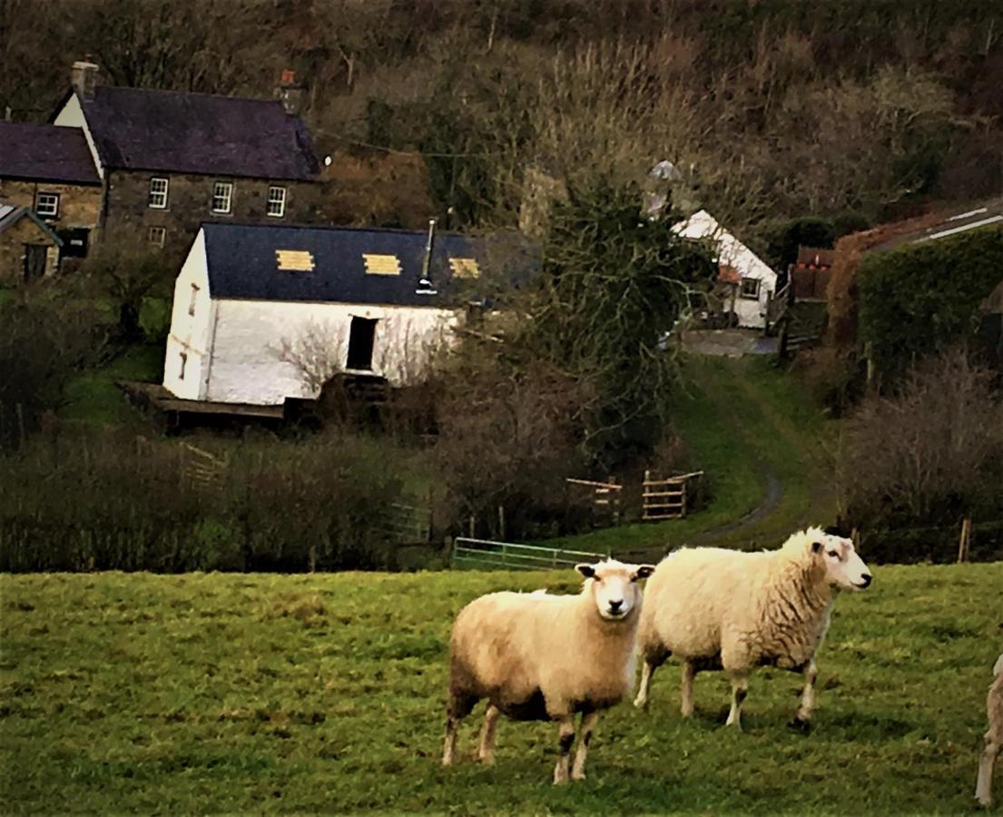 Nantgwynfaen Organic Farm Wales Villa Llandysul Ngoại thất bức ảnh