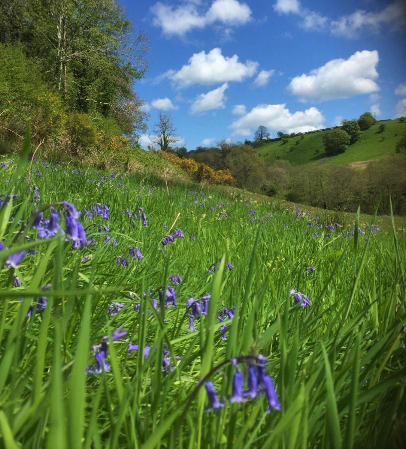 Nantgwynfaen Organic Farm Wales Villa Llandysul Ngoại thất bức ảnh