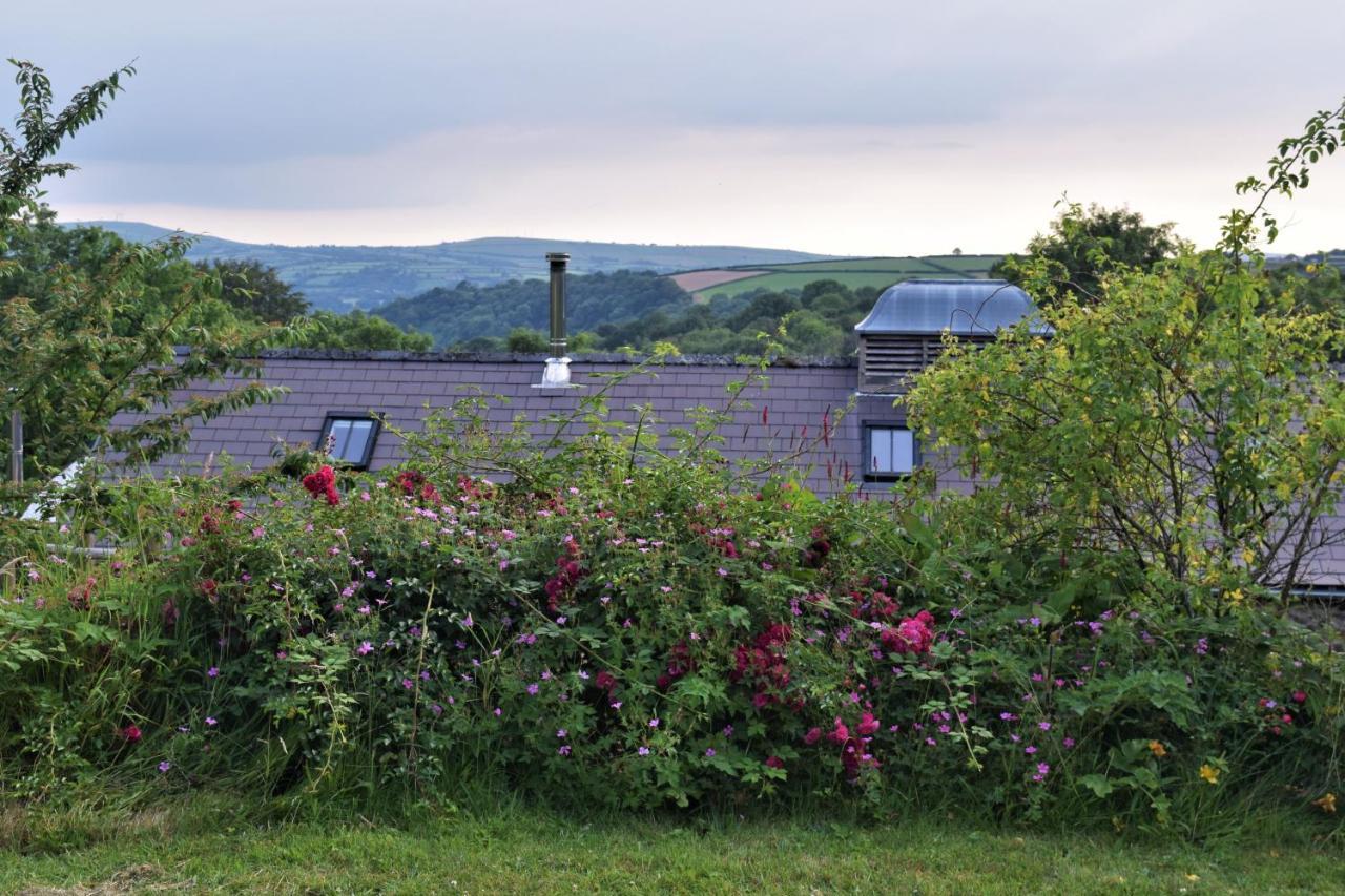 Nantgwynfaen Organic Farm Wales Villa Llandysul Ngoại thất bức ảnh