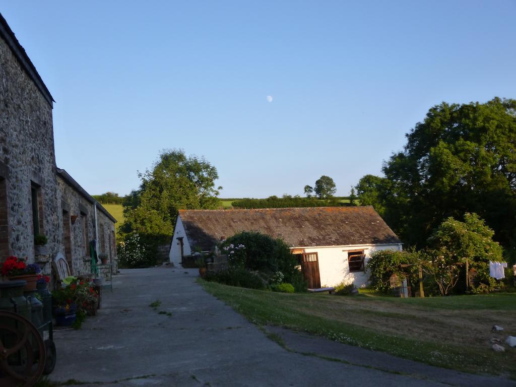 Nantgwynfaen Organic Farm Wales Villa Llandysul Ngoại thất bức ảnh