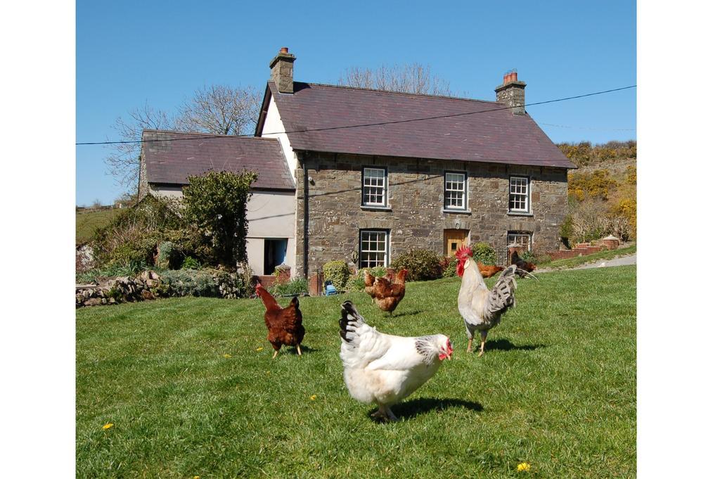 Nantgwynfaen Organic Farm Wales Villa Llandysul Ngoại thất bức ảnh