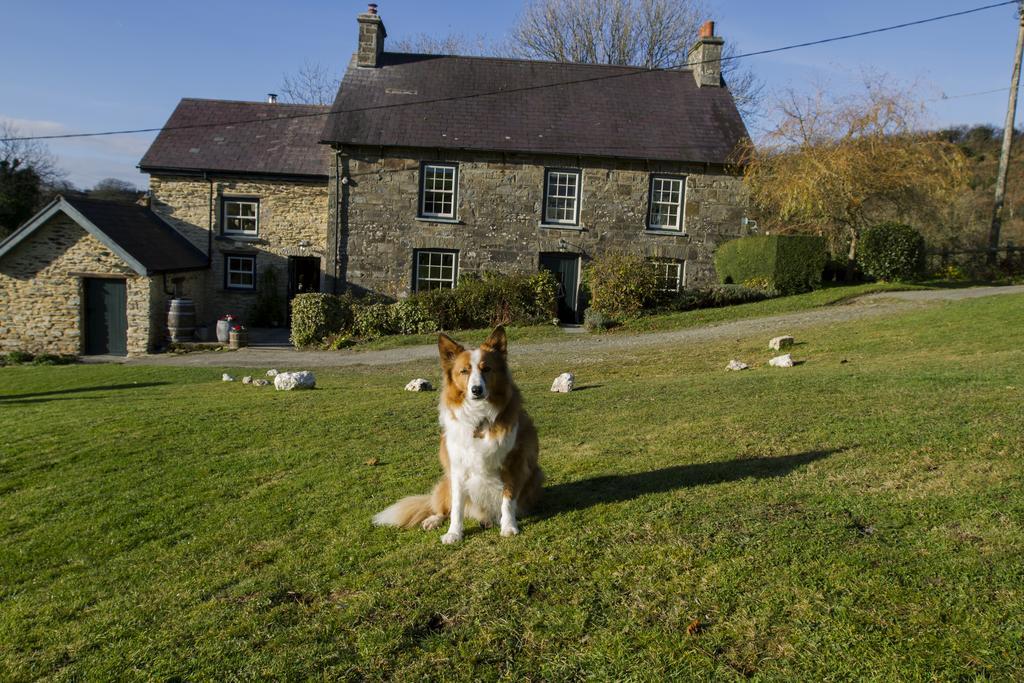 Nantgwynfaen Organic Farm Wales Villa Llandysul Ngoại thất bức ảnh